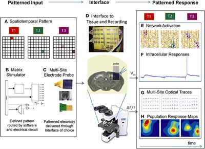 A Platform for Spatiotemporal “Matrix” Stimulation in Brain Networks Reveals Novel Forms of Circuit Plasticity